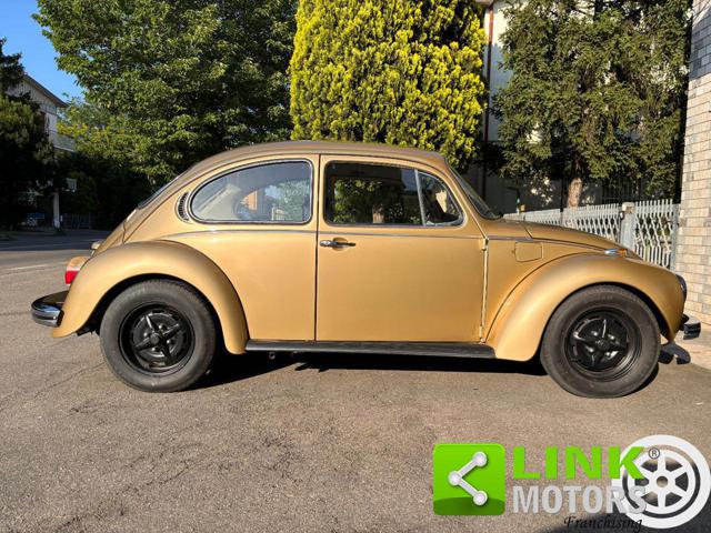 VOLKSWAGEN Maggiolone usata 10