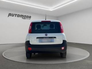 FIAT Panda usata, con Controllo trazione