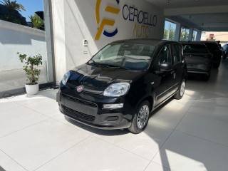 FIAT Panda usata, con Alzacristalli elettrici