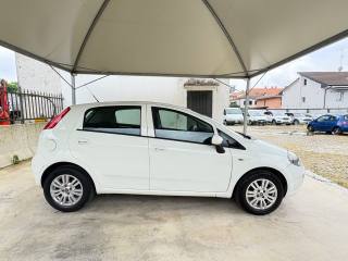 FIAT Punto usata, con Cerchi in lega