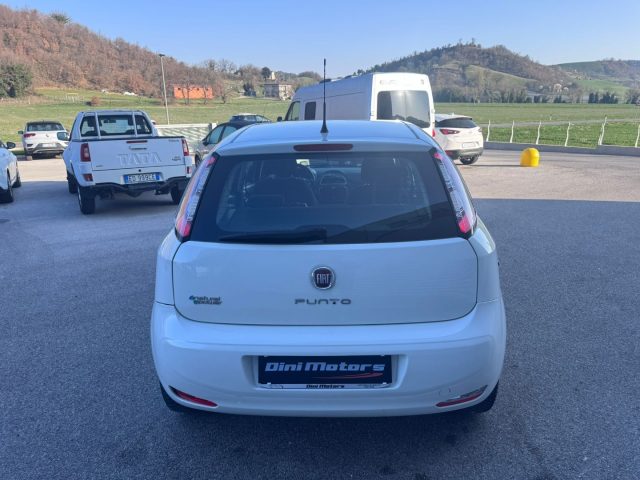 FIAT Punto usata, con Chiusura centralizzata