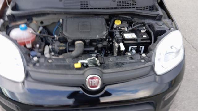 FIAT Panda usata 20