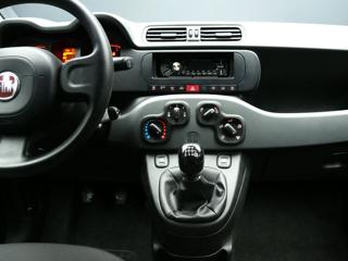 FIAT Panda usata, con Airbag testa