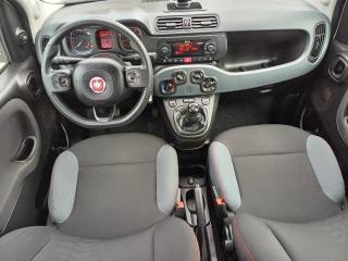 FIAT Panda usata, con Controllo trazione