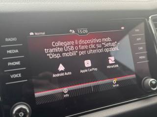 SKODA Kodiaq usata, con Cruise Control