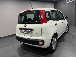 FIAT Panda usata, con Alzacristalli elettrici