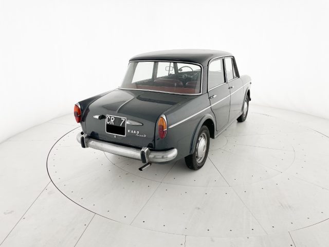 FIAT 1100 usata 12