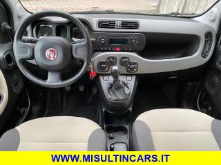 FIAT Panda usata, con Airbag testa