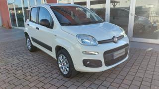 FIAT Panda usata, con Airbag