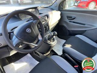 LANCIA Ypsilon usata 7