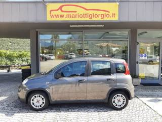 FIAT Panda usata, con Antifurto