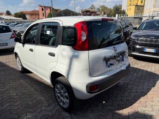 FIAT Panda usata, con Cerchi in lega