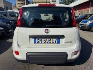 FIAT Panda usata, con Controllo trazione