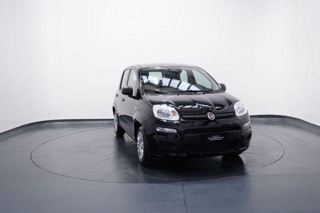 FIAT New Panda usata, con Controllo trazione