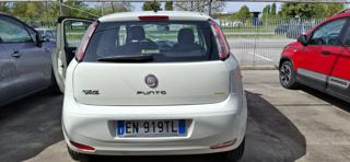 FIAT Punto usata, con Airbag