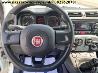FIAT Panda usata, con Climatizzatore
