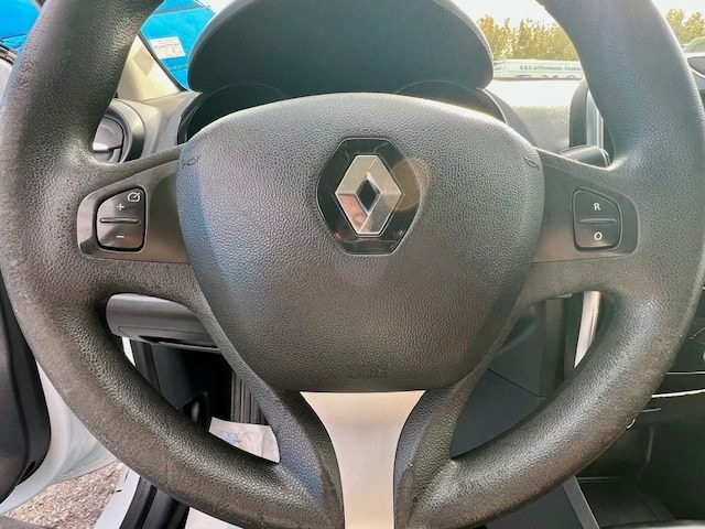 RENAULT Clio usata 17