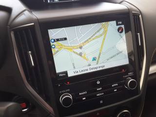 SUBARU XV usata, con Controllo trazione