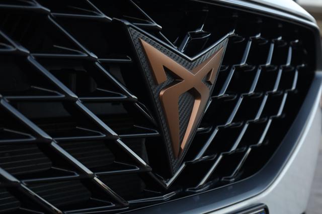 CUPRA Formentor usata, con Sensore di pioggia