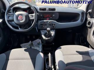 FIAT Panda usata, con ESP
