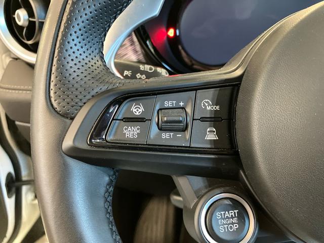 ALFA ROMEO Tonale usata 19