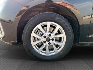 FORD Tourneo Connect usata 14