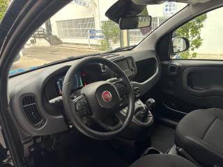 FIAT Panda usata, con Frenata d