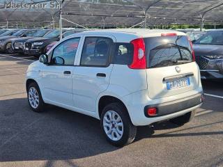 FIAT Panda usata, con Chiusura centralizzata
