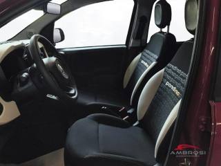 FIAT Panda usata 9