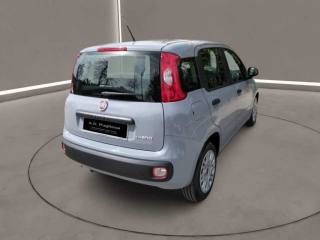 FIAT Panda usata, con Climatizzatore