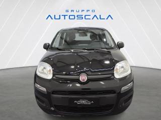 FIAT Pandina usata, con Airbag