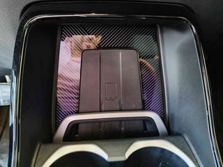 BMW X1 usata, con Fendinebbia