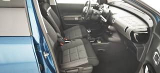 CITROEN C4 Cactus usata, con Tetto panorama