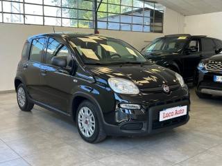 FIAT Panda usata, con Alzacristalli elettrici