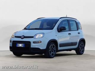 FIAT Panda usata, con Airbag Passeggero