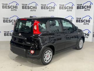FIAT Panda usata, con Antifurto