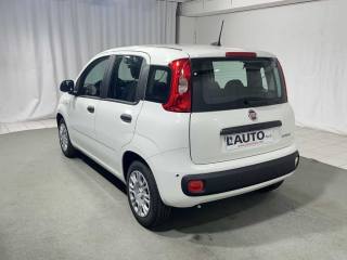 FIAT Panda usata, con Airbag Passeggero
