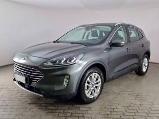 FORD Kuga 1.5 EcoBlue 120 CV aut. 2WD Titanium Business