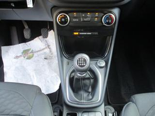 FORD Puma usata, con Fendinebbia