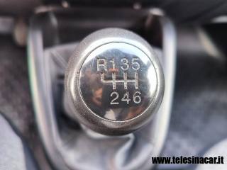 FIAT Doblo usata 14