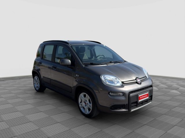 FIAT Panda usata 6