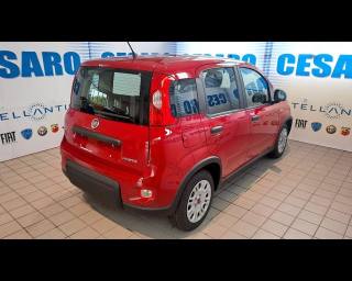 FIAT New Panda usata, con Alzacristalli elettrici