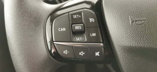 FORD Fiesta usata 44