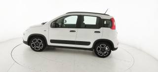 FIAT Panda usata 25