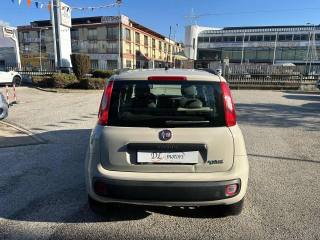 FIAT Panda usata, con Servosterzo