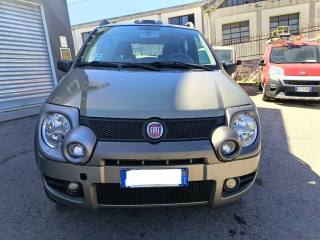 FIAT Panda usata 2