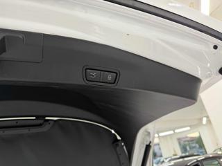 ALFA ROMEO Stelvio usata, con Adaptive Cruise Control