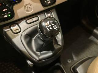 FIAT Panda usata 12