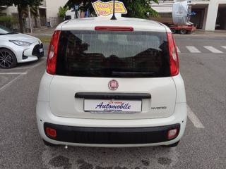 FIAT Panda usata, con Antifurto