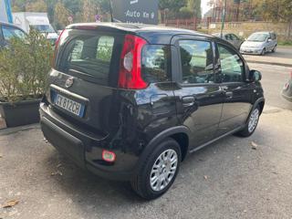 FIAT Panda usata, con Airbag Passeggero